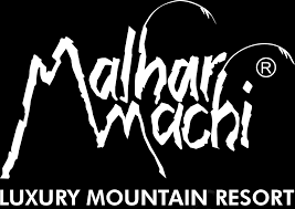 Logo 4